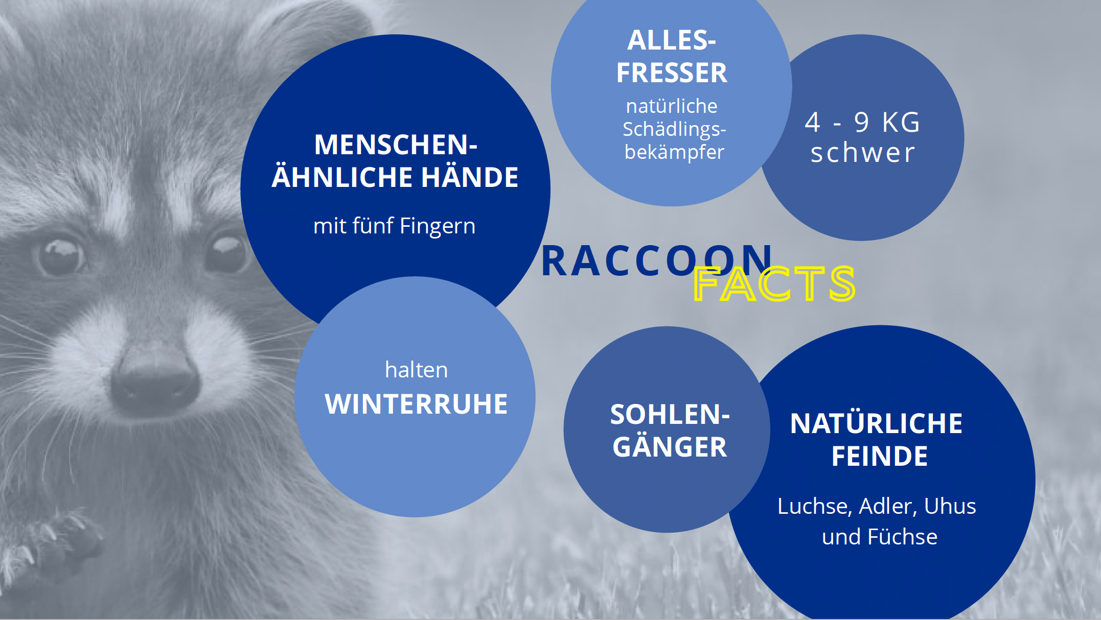 Struktur und Ordnung! So kann Ihr Publikum Informationen leichter aufnehmen.